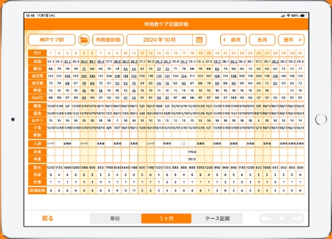 記録内容の1ヶ月表示画面イメージ