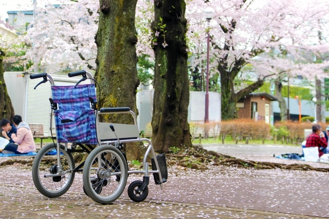 日常が戻りつつある介護現場で3年ぶりに本格再開されたお花見にて桜の木の下にある車椅子の様子